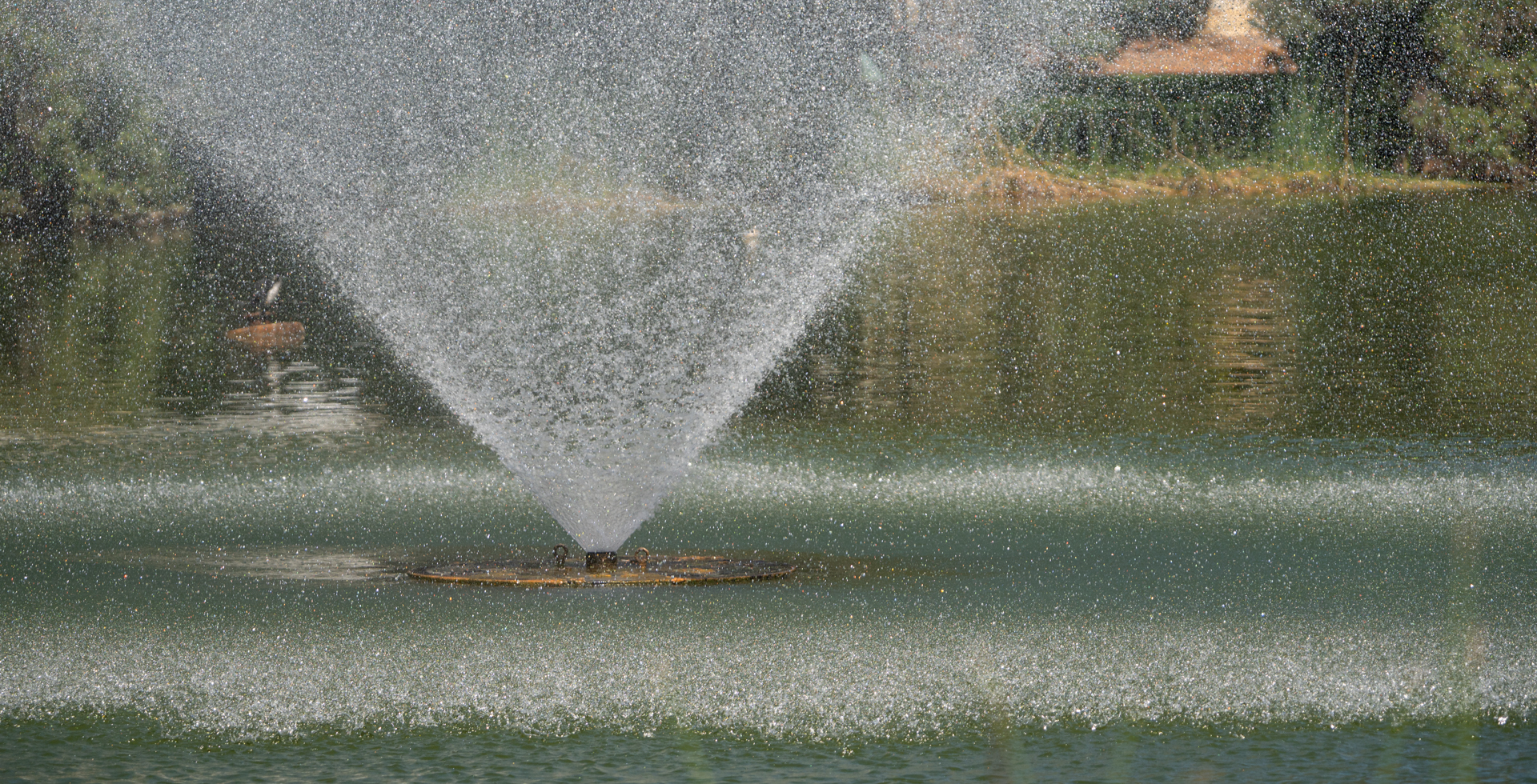 04-Lake Sprinkle