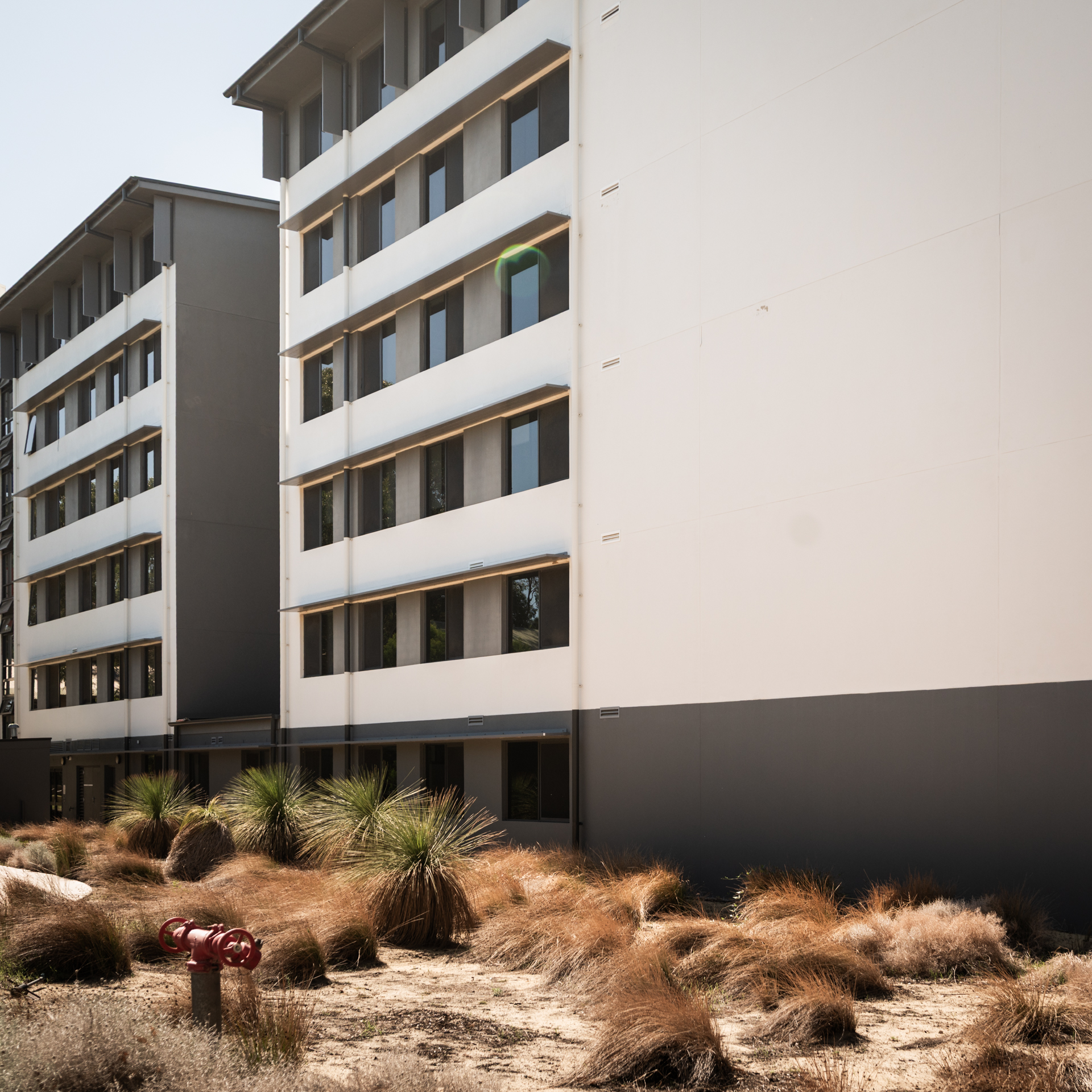 05-Student Digs