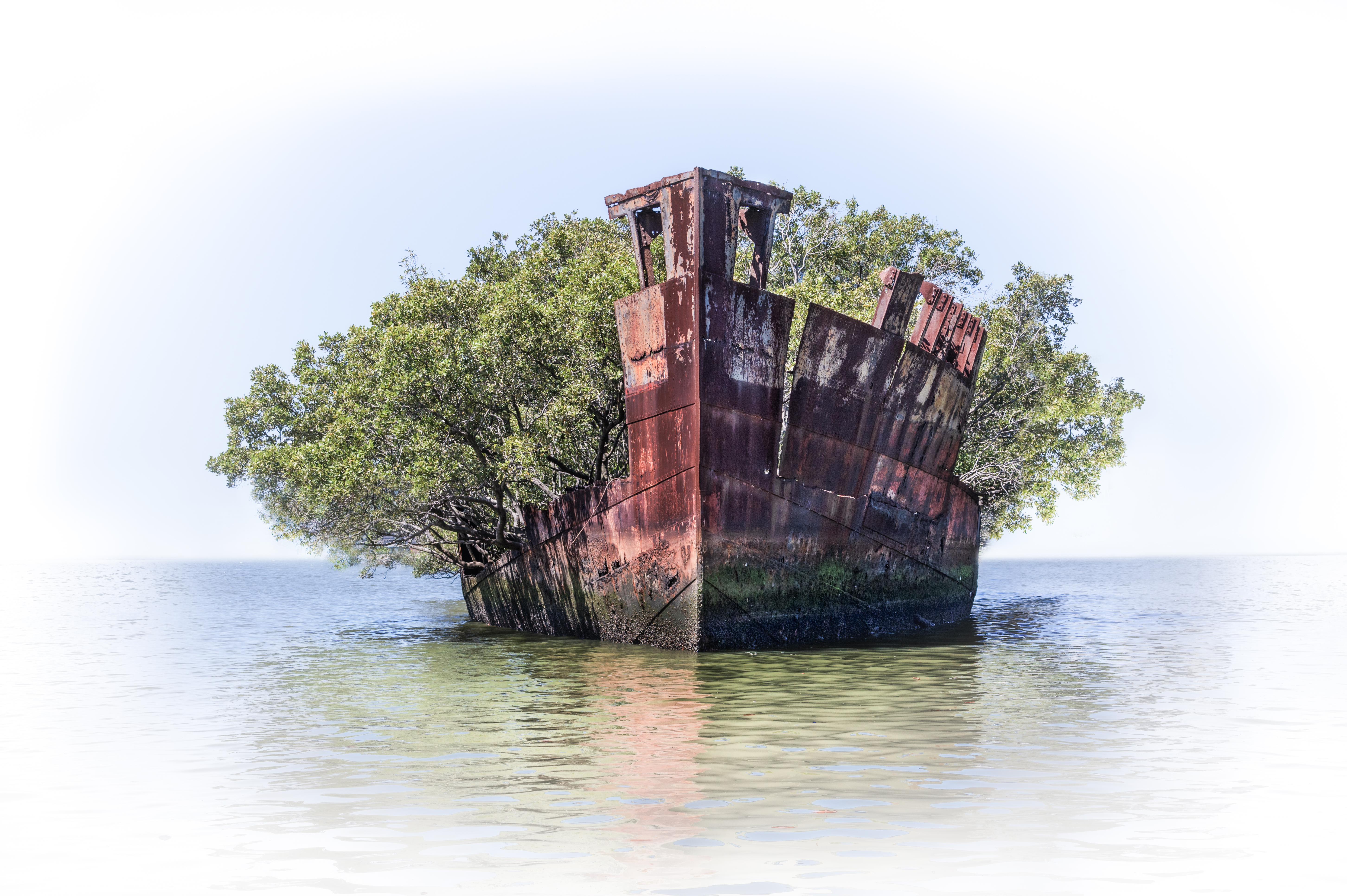 Wreck Ss Ayrfield