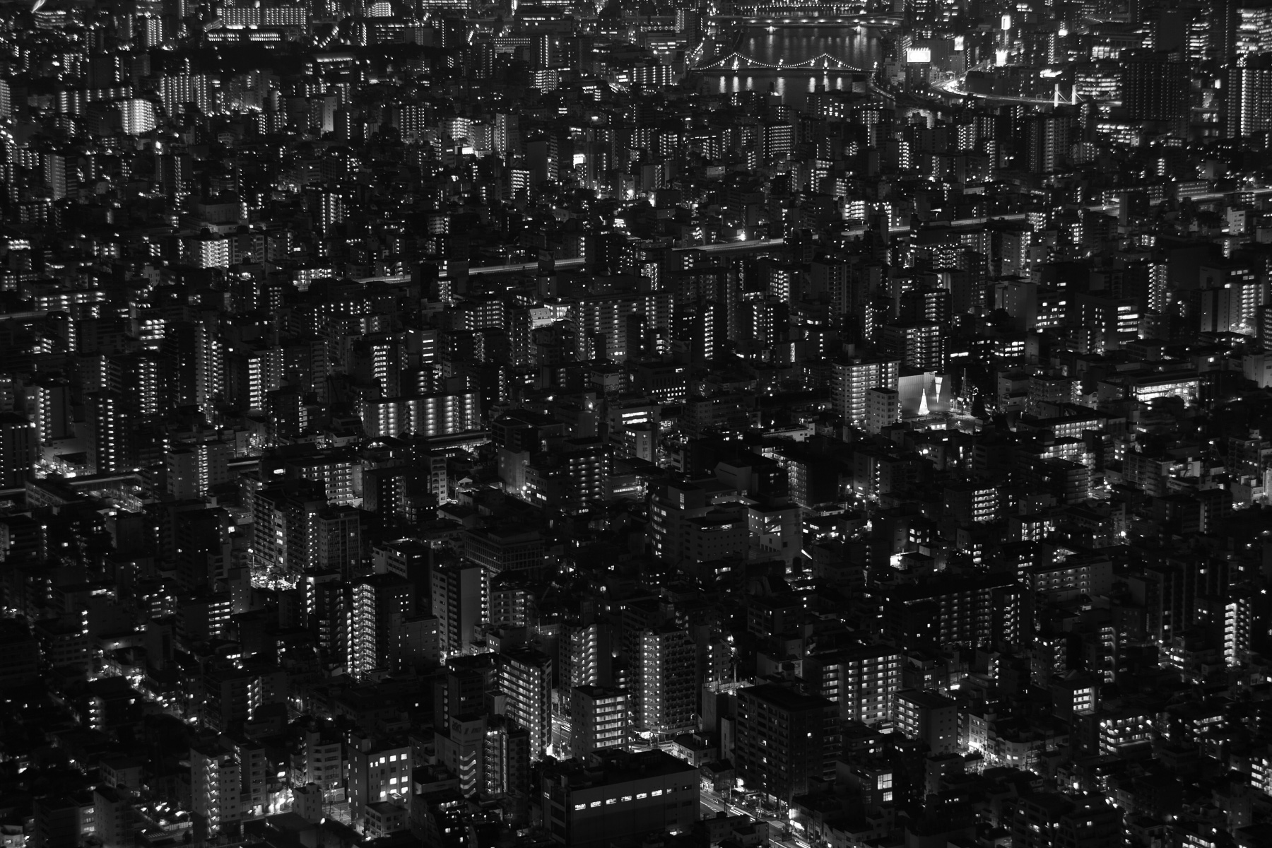 A Hive of Homes in Tokyo