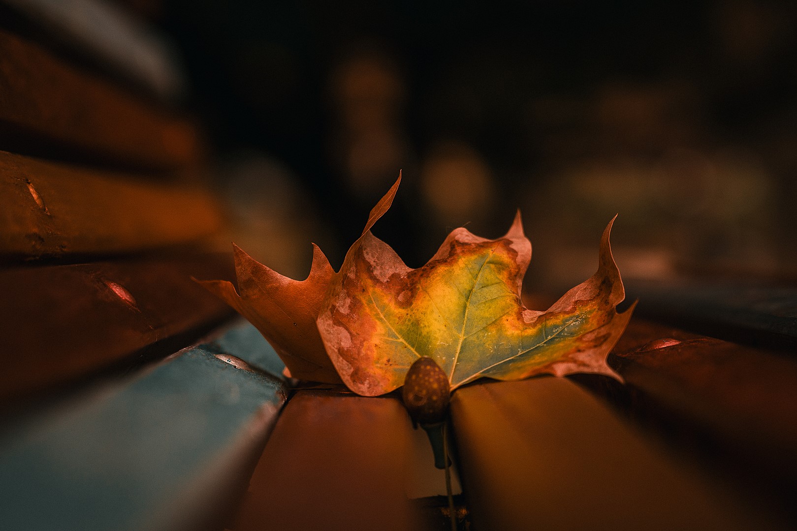 An Autumn's Mortality