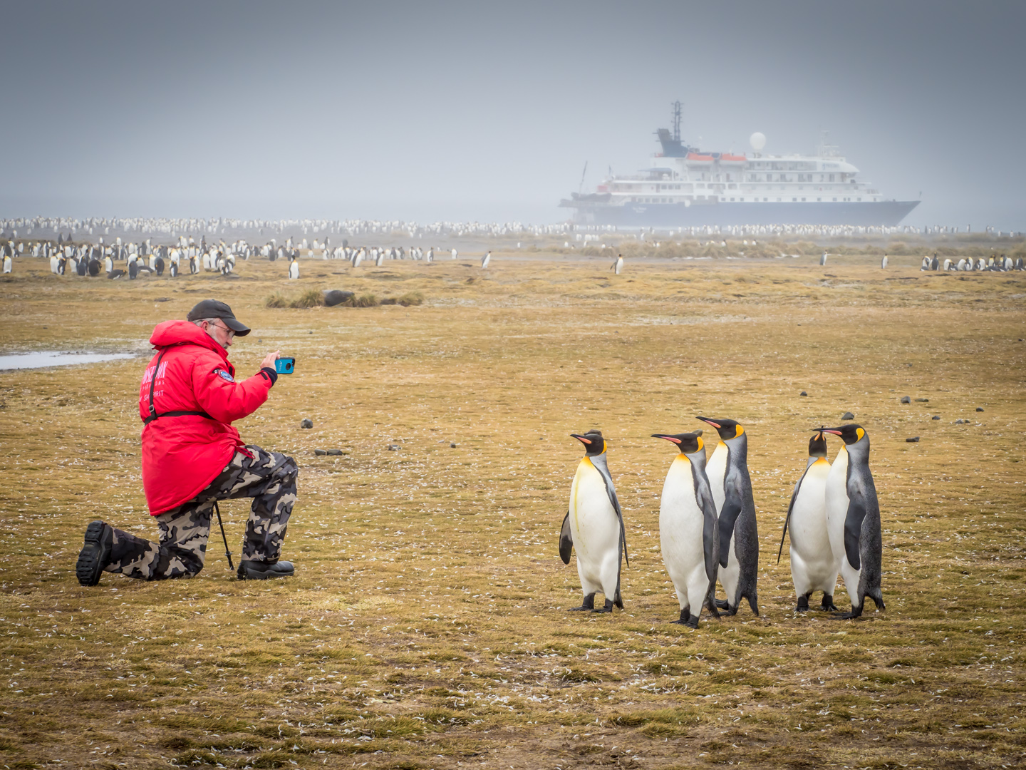 "Bloody Tourist!"