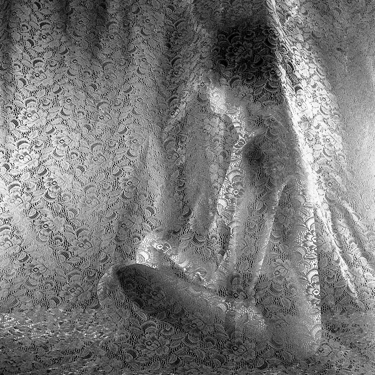 Lady in Lace (film Negative)