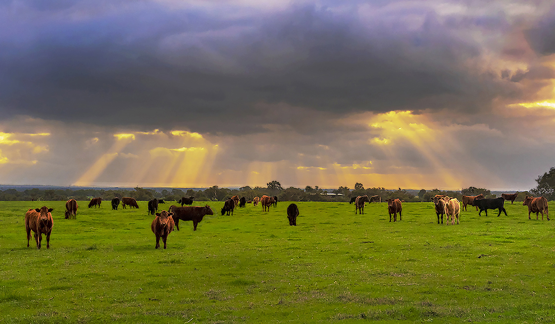 Out in the Country