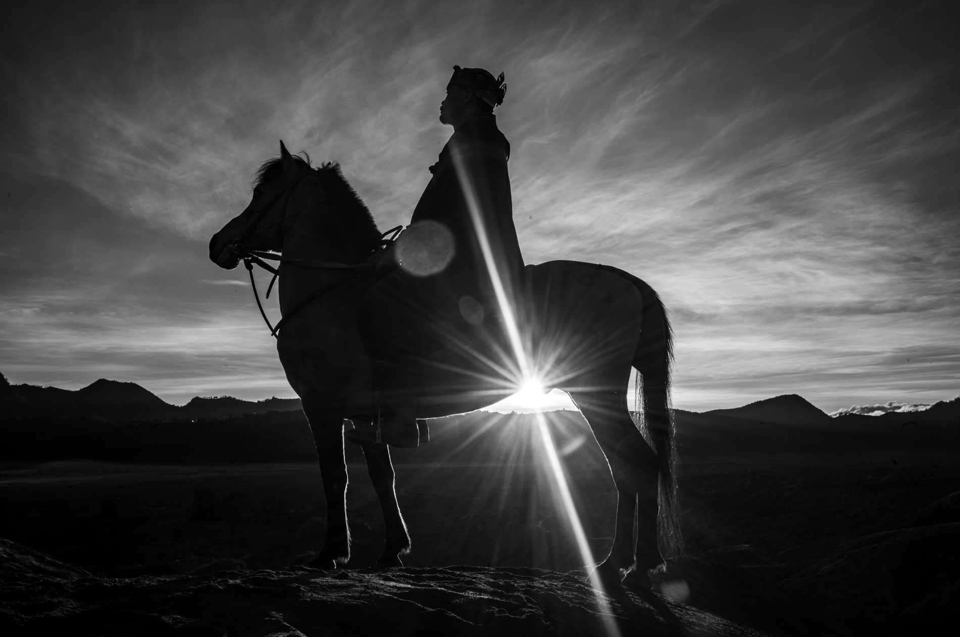 Dawn of the Rider