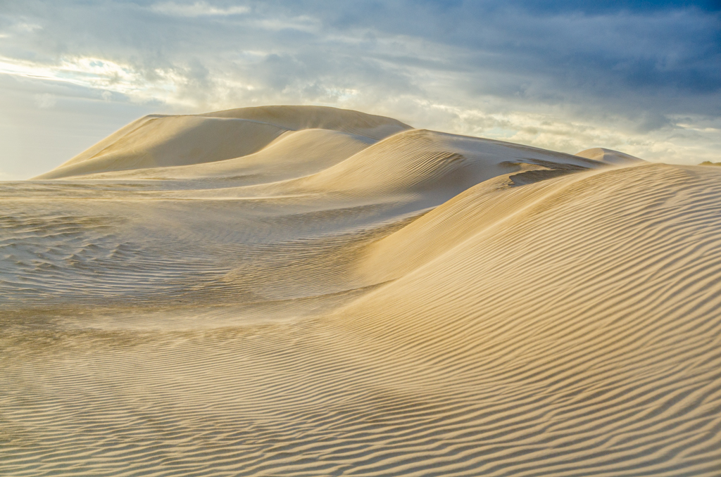 Dunes in Sun