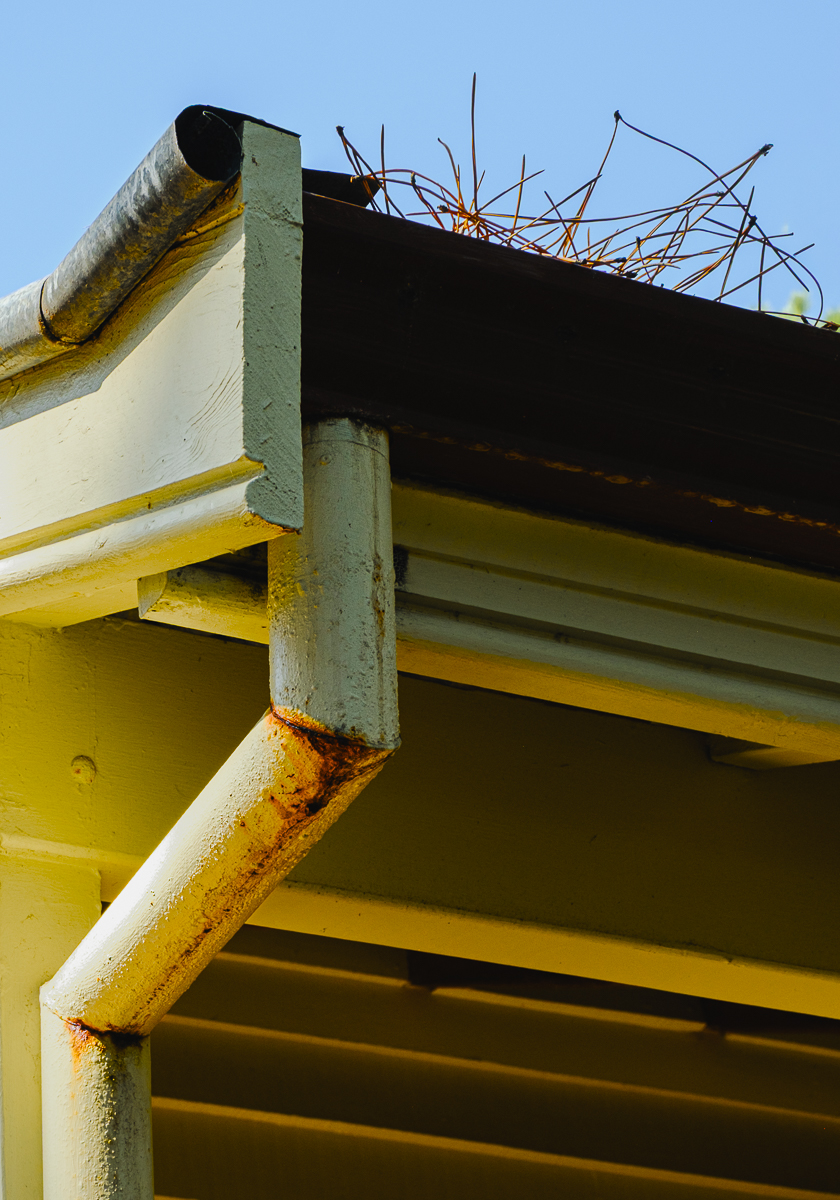 5. Edies Gutter