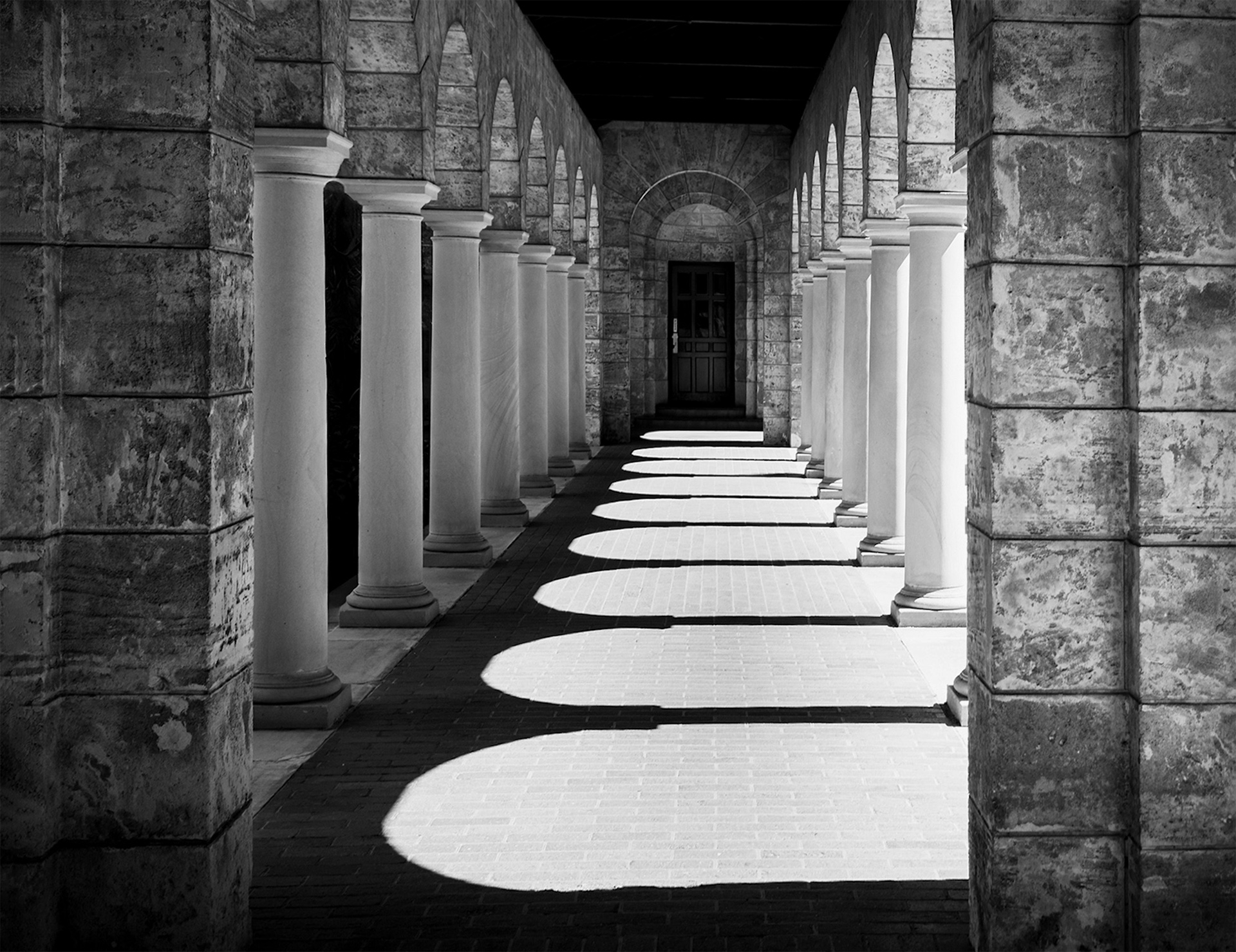 Harsh Light, Hard Lines