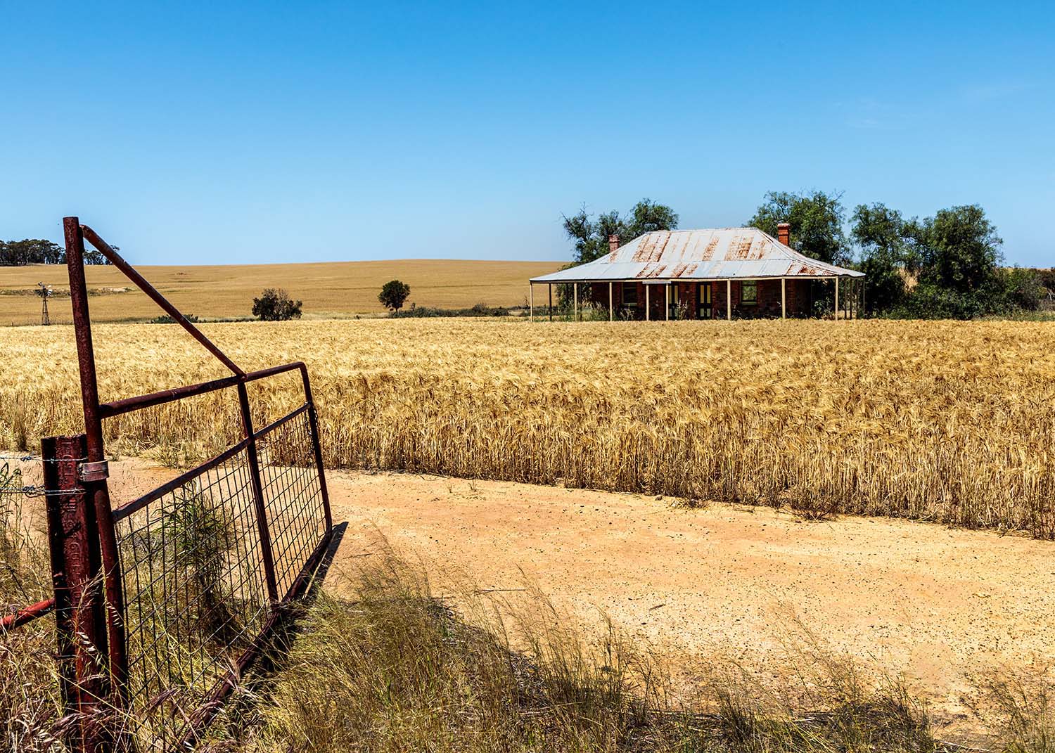 Home Amongst the Harvest