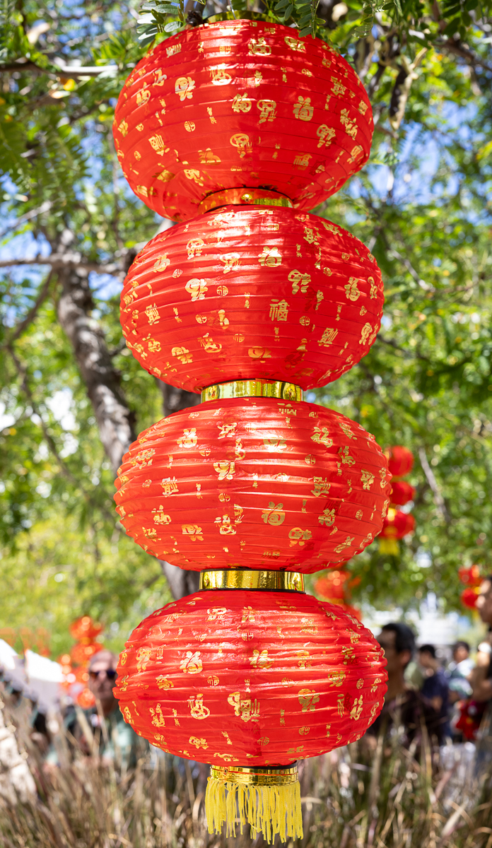 Lucky Lanterns