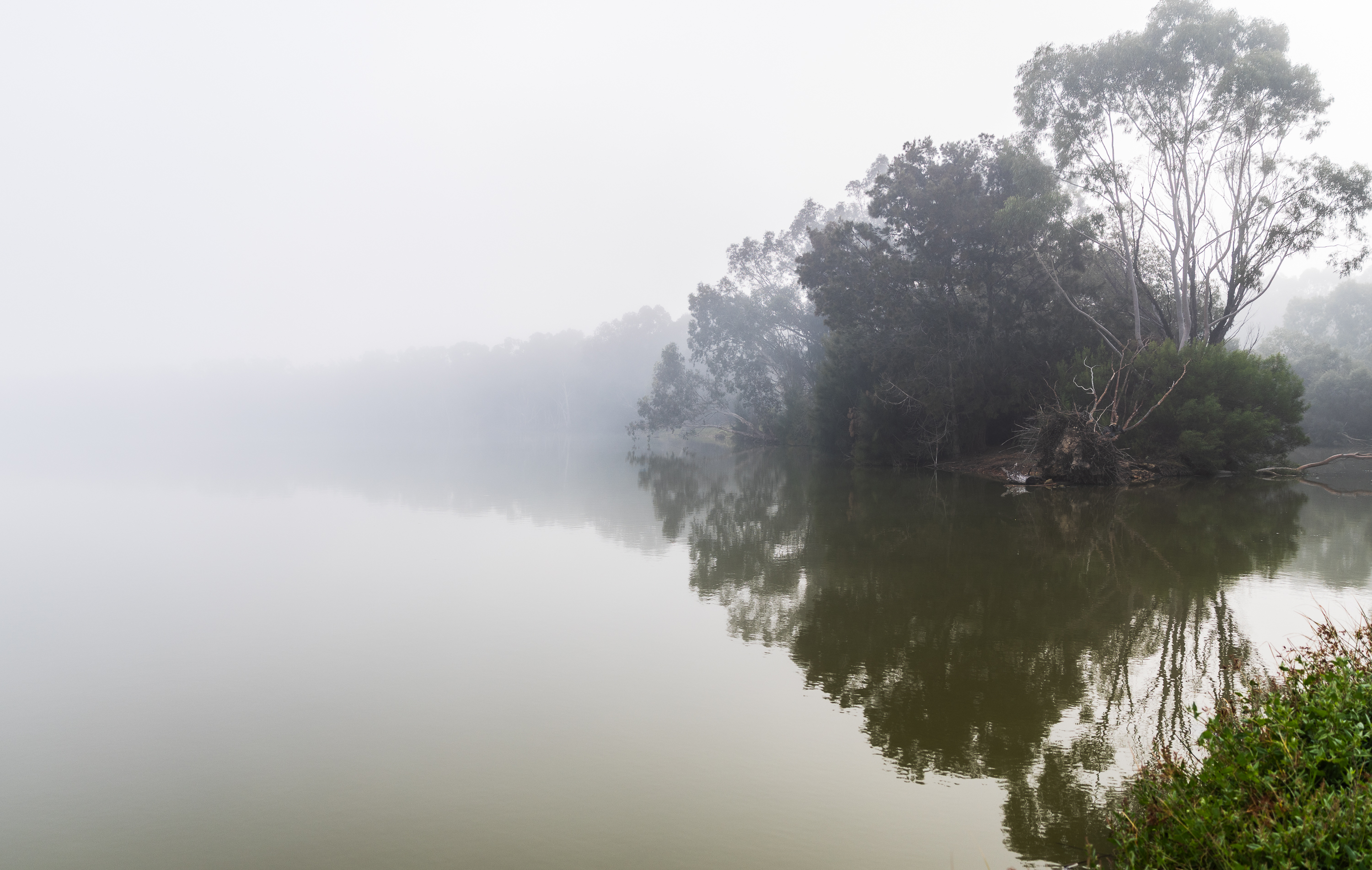 Misty Lake Monger