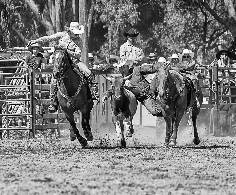 Boddington Cowboys