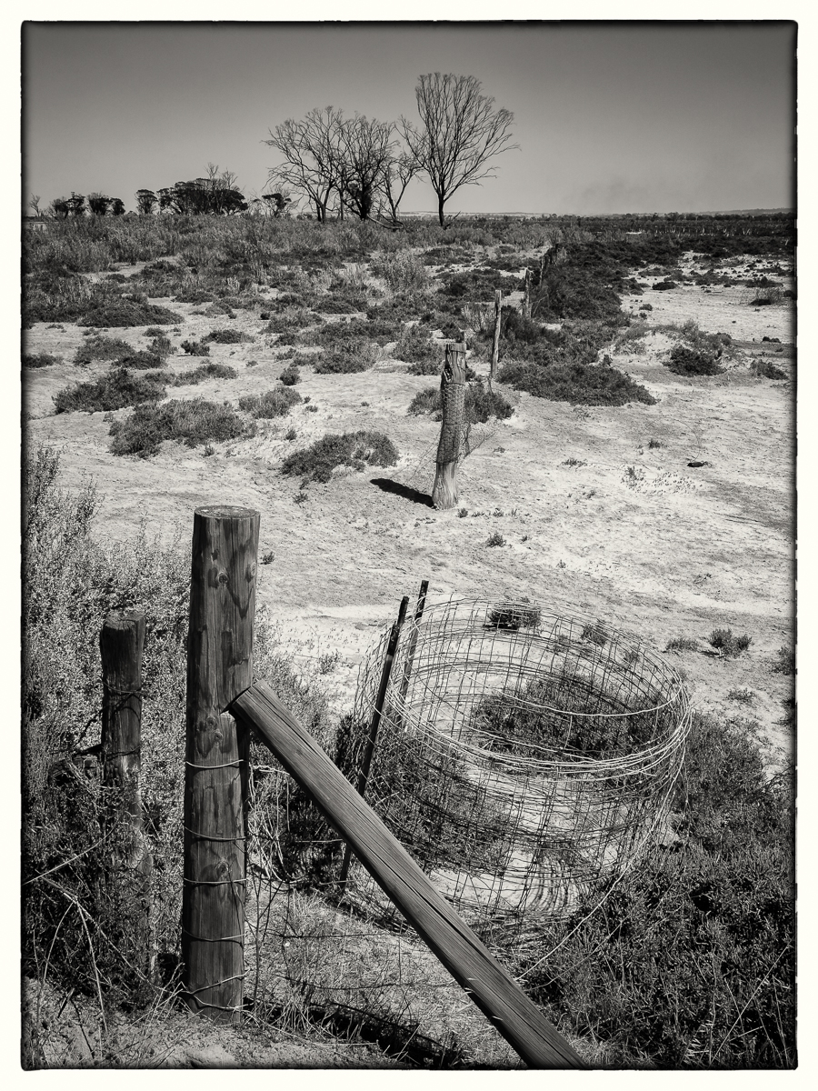 Dry in the Wheatbelt