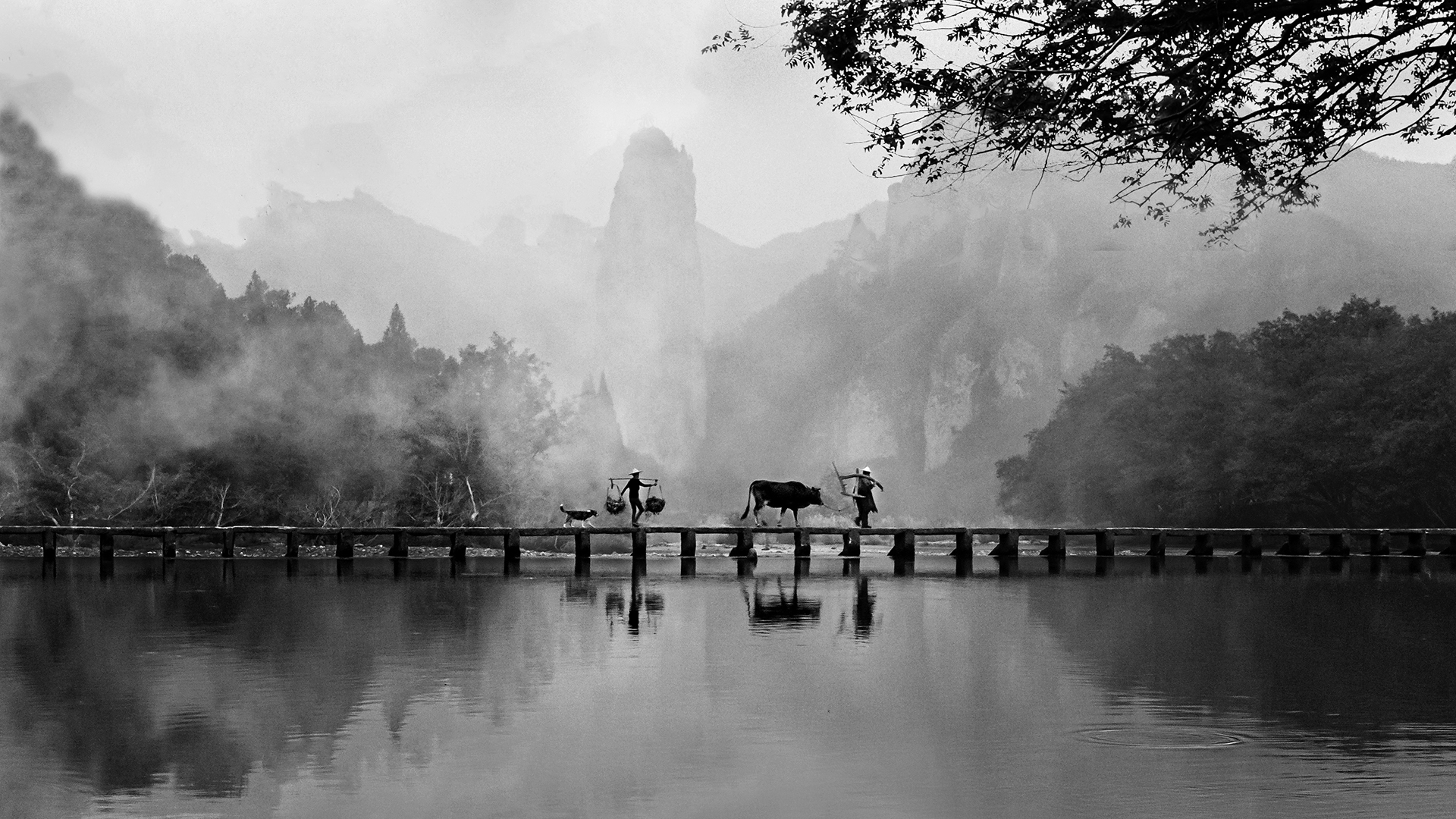 Misty Morn on the Bridge