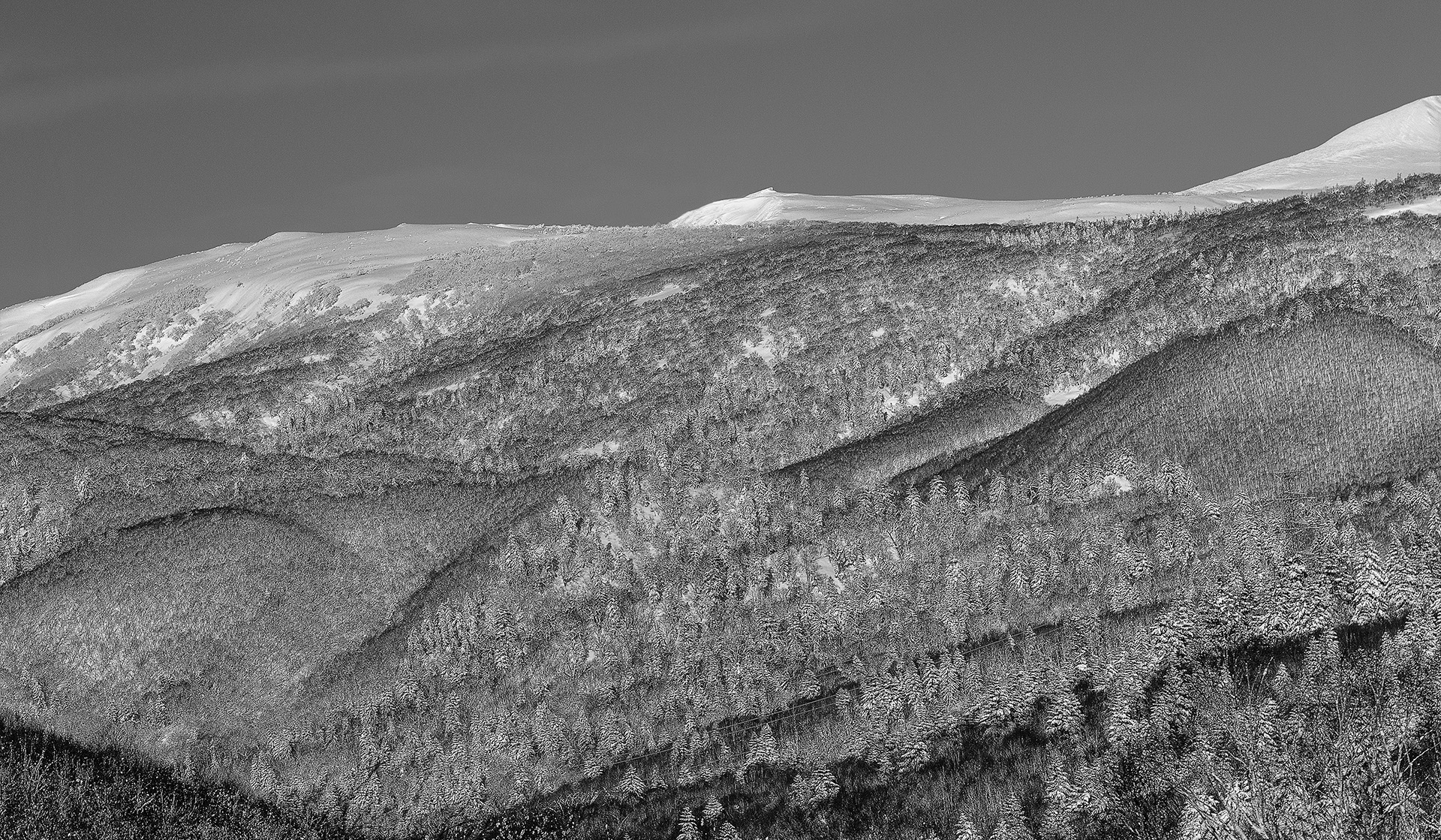 Snowy Mountains