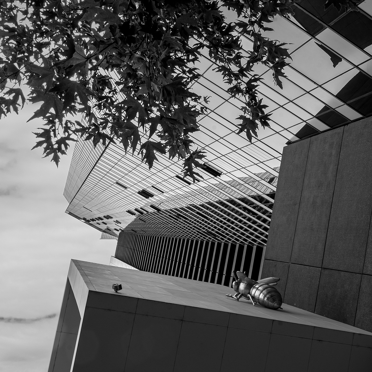 South Melbourne Sky Line