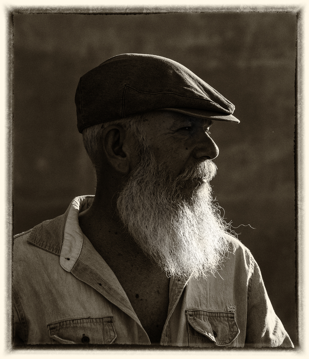 Sunlit Beard