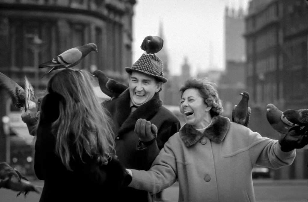 Trafalgar Square Pigeons