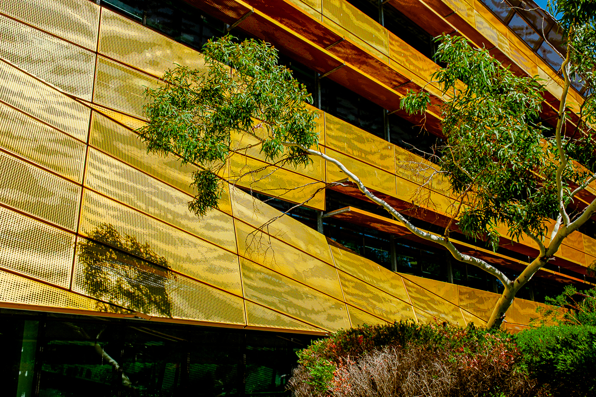 6. Ngoolark Scape