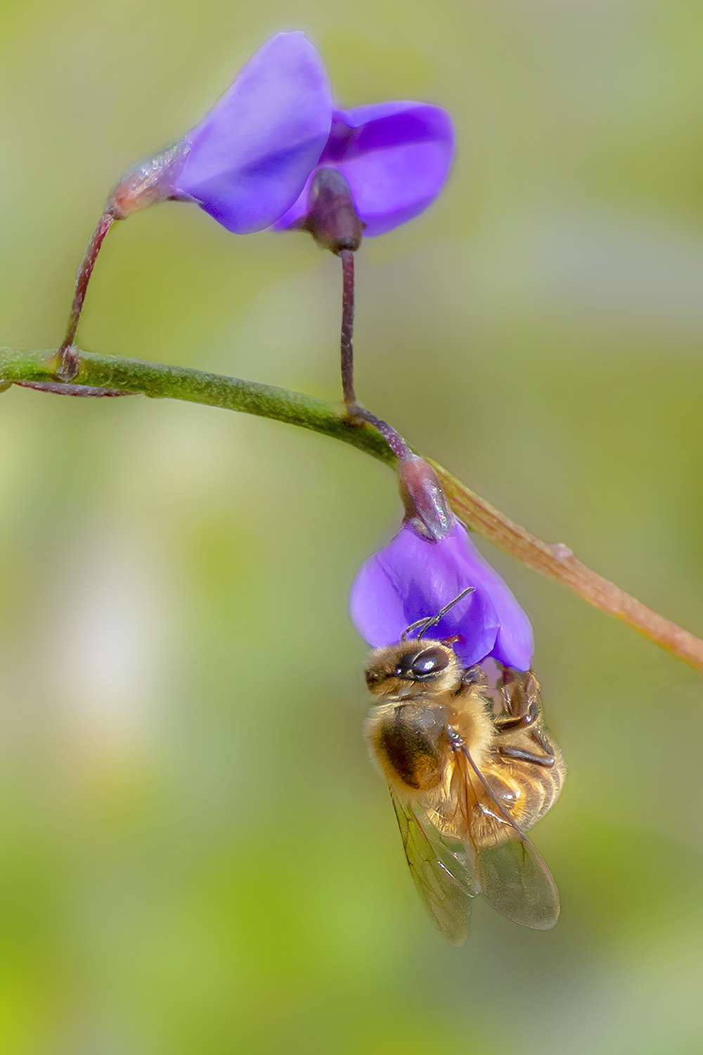 Hanging in There