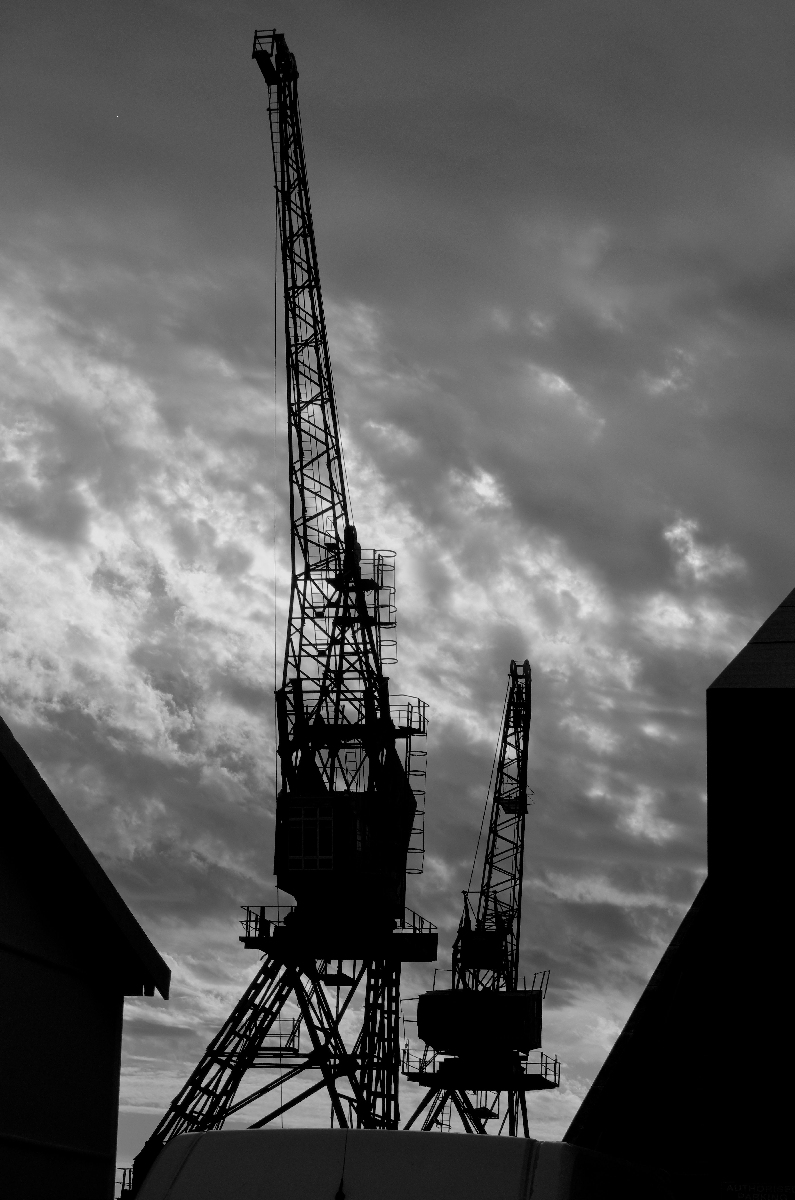 Cranes