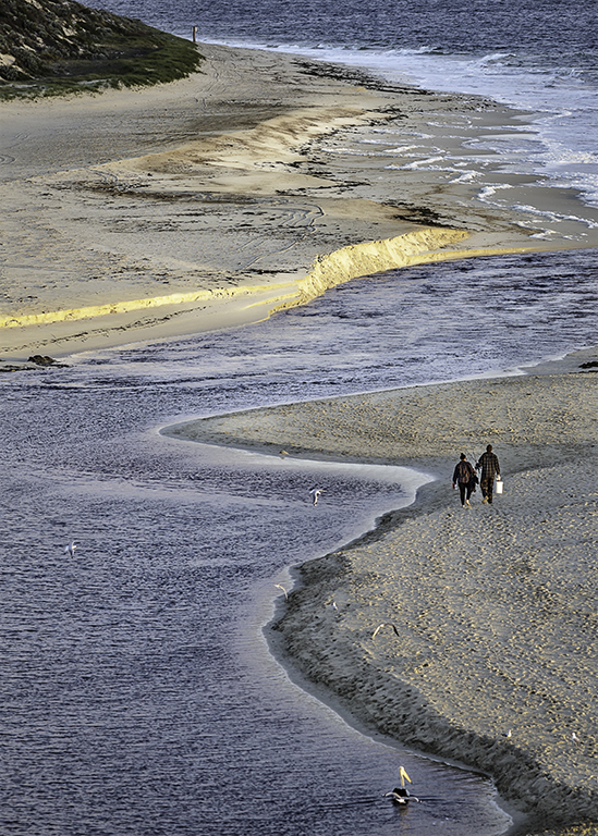 A Walk on the Beach