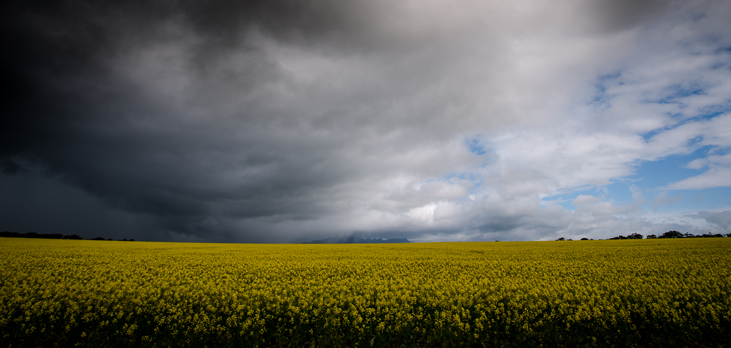 Storm Front