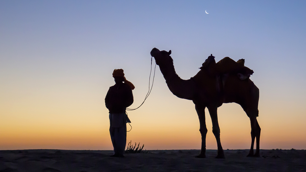 A Quiet Moment at Sunrise