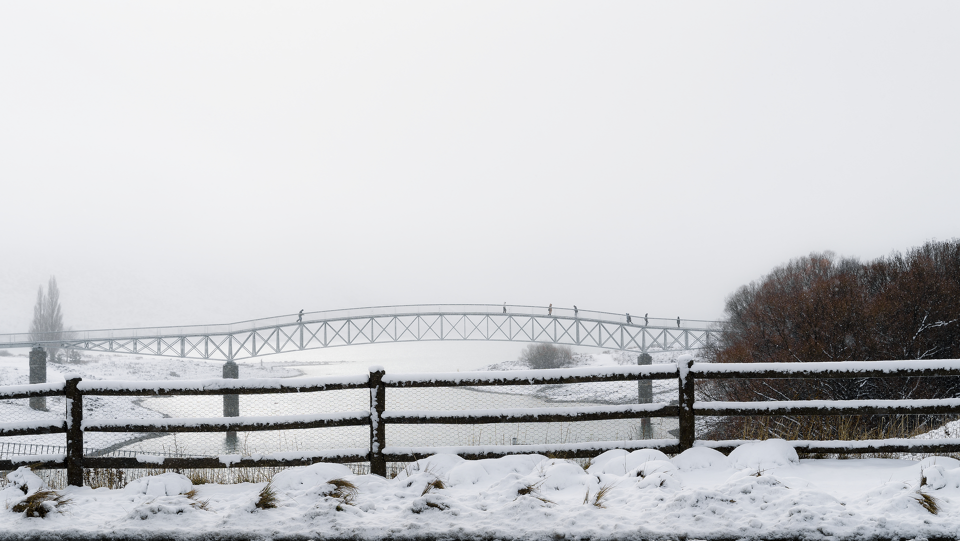 A Snowy Crossing