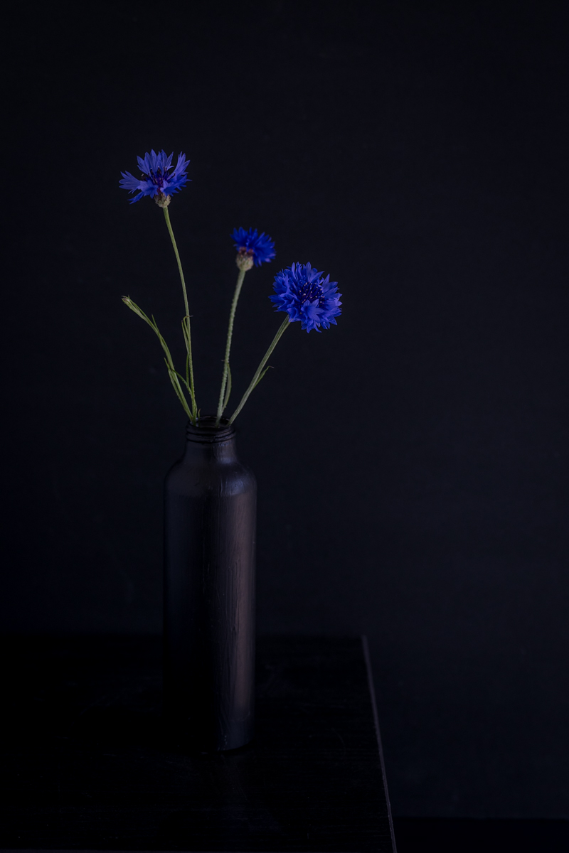 Cornflowers