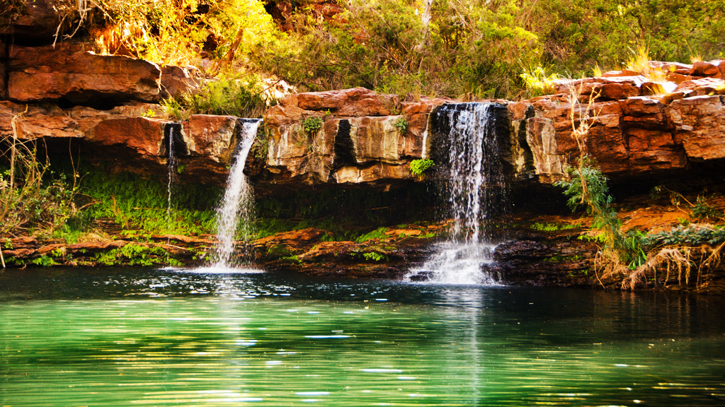 Fern Pool