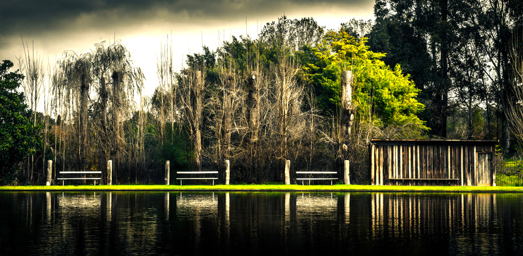 Fonty's Pool