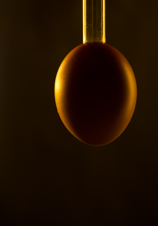 Golden Egg Light