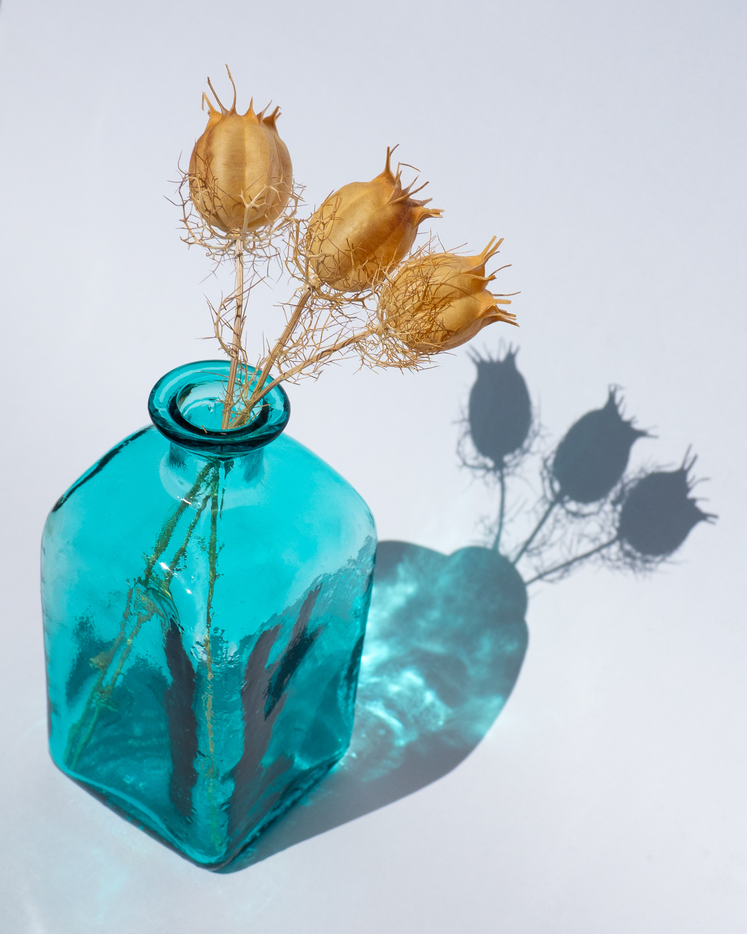 Green Vase with Seed Pods