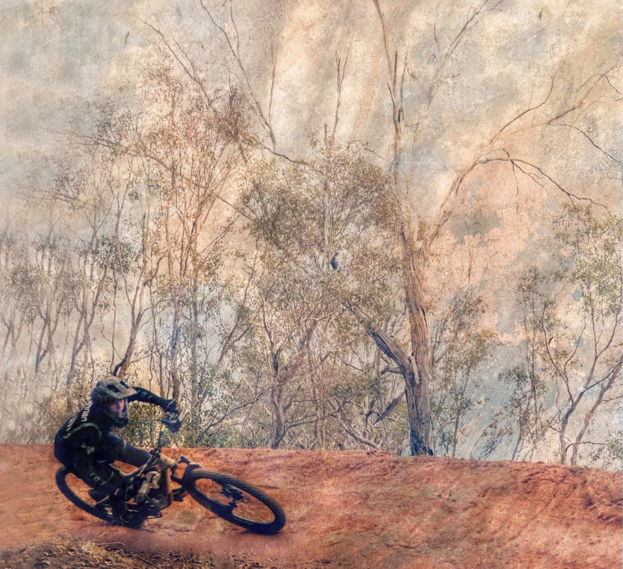 McCubbin's Landscape Rider