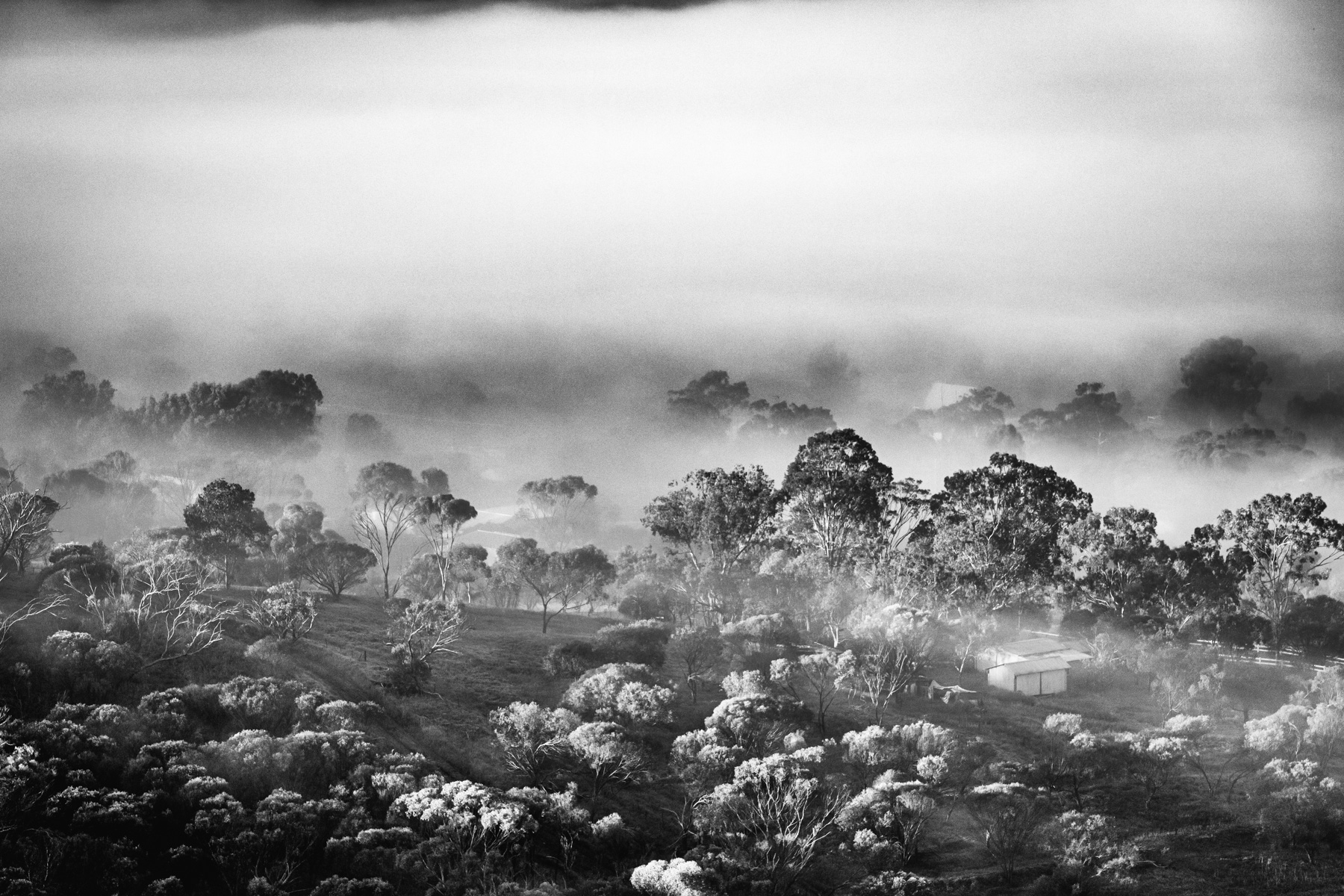 Morning Mist in York