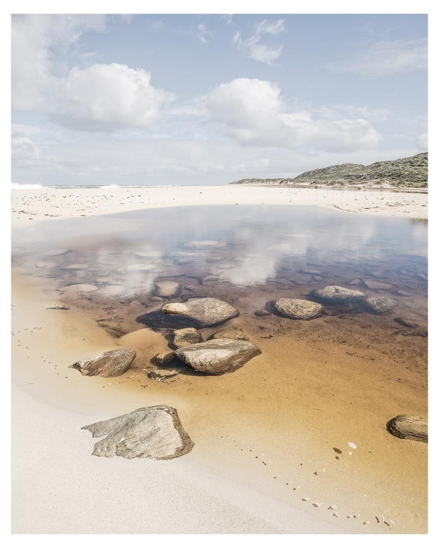 Pool at the River Mouth