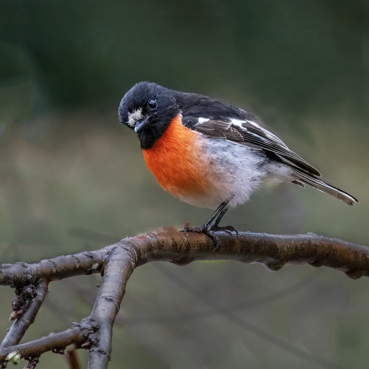 Whats Happening down there