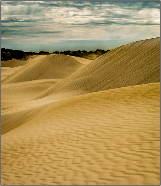 Sand Dunes