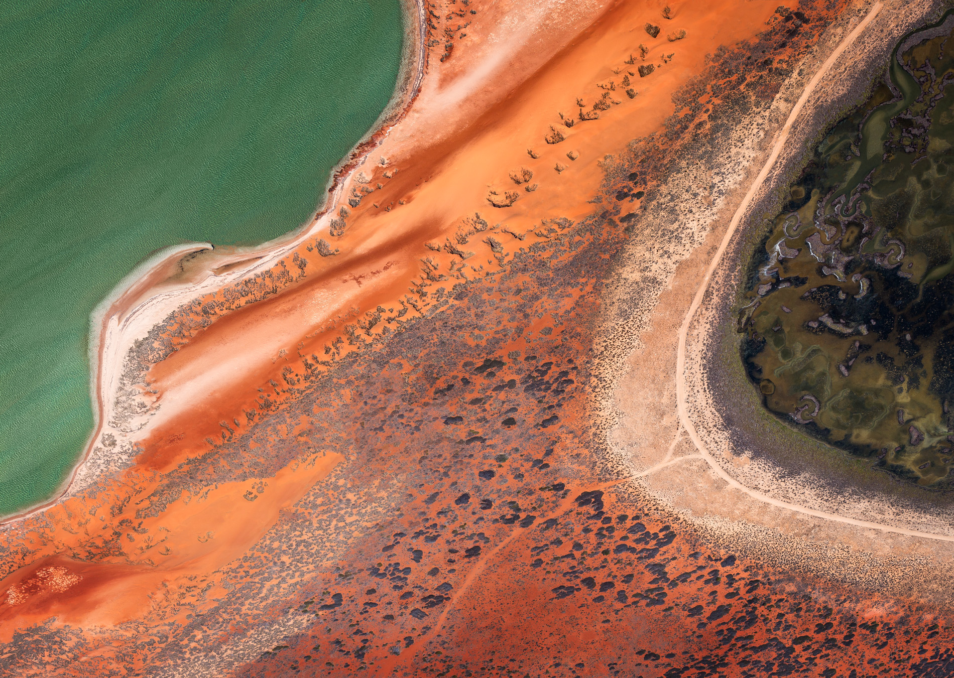 Shark Bay