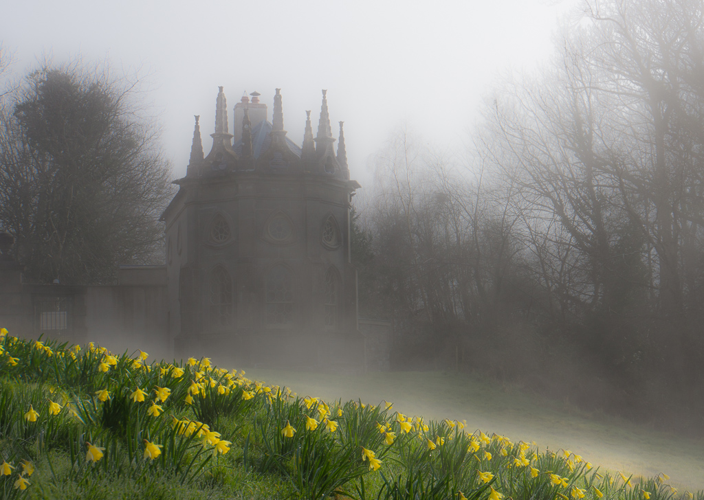 Spring Fog