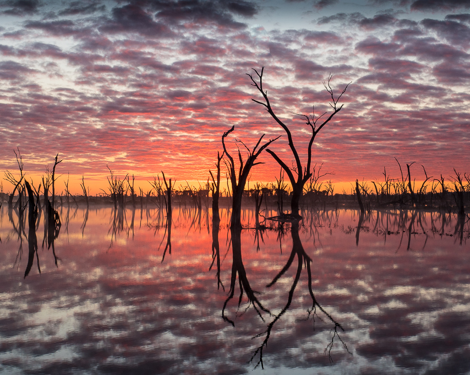 Sunrise at the Lake