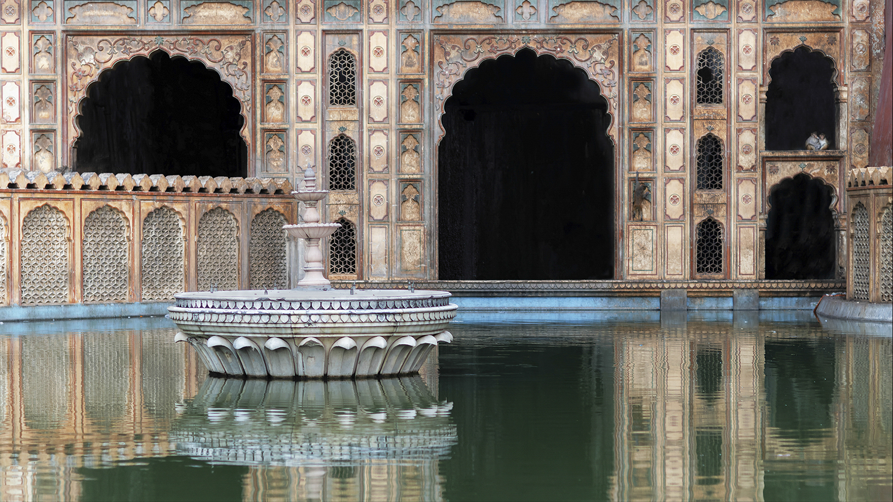 Tranquility at the Monkey Temple