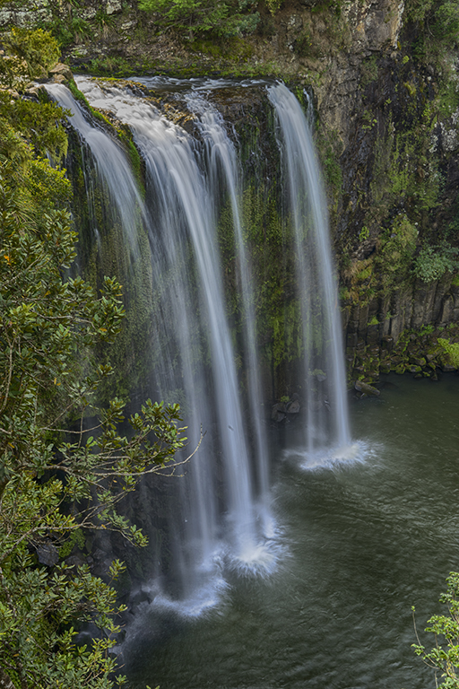 Whangarei Falls