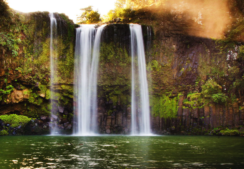 Whangarei Falls