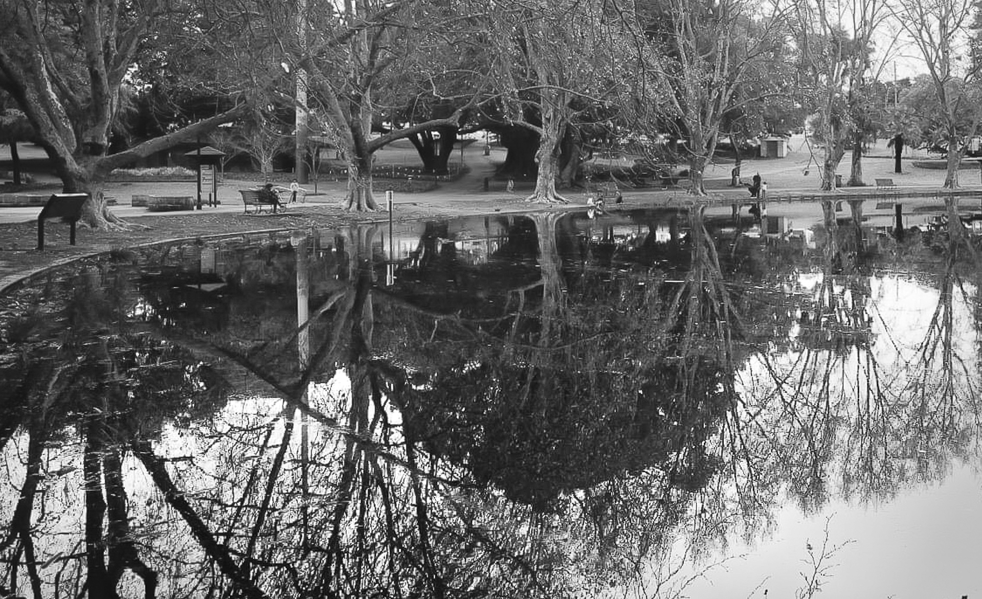 Winter in Hyde Park