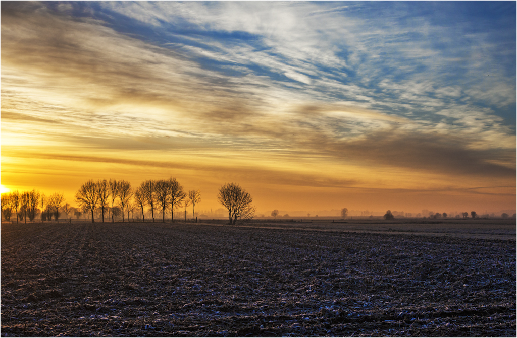 Frosty Morning