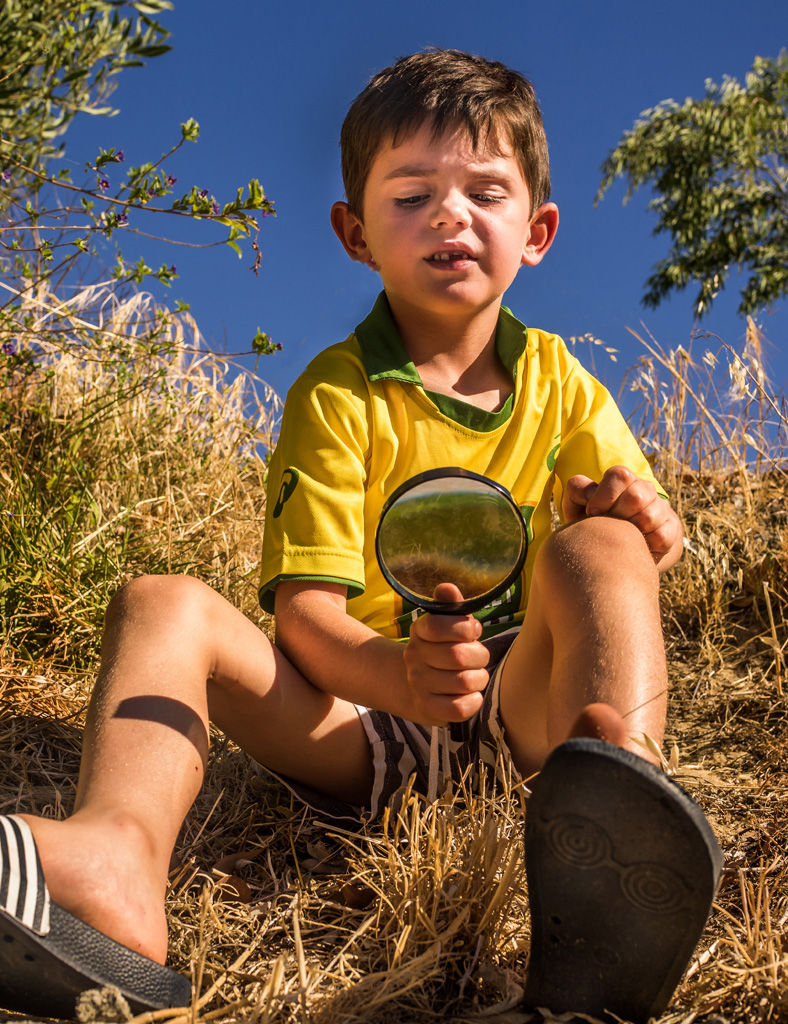 Riley's Ant Hunt