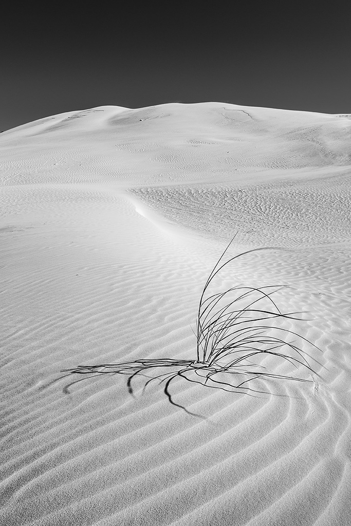 Sand Dunes