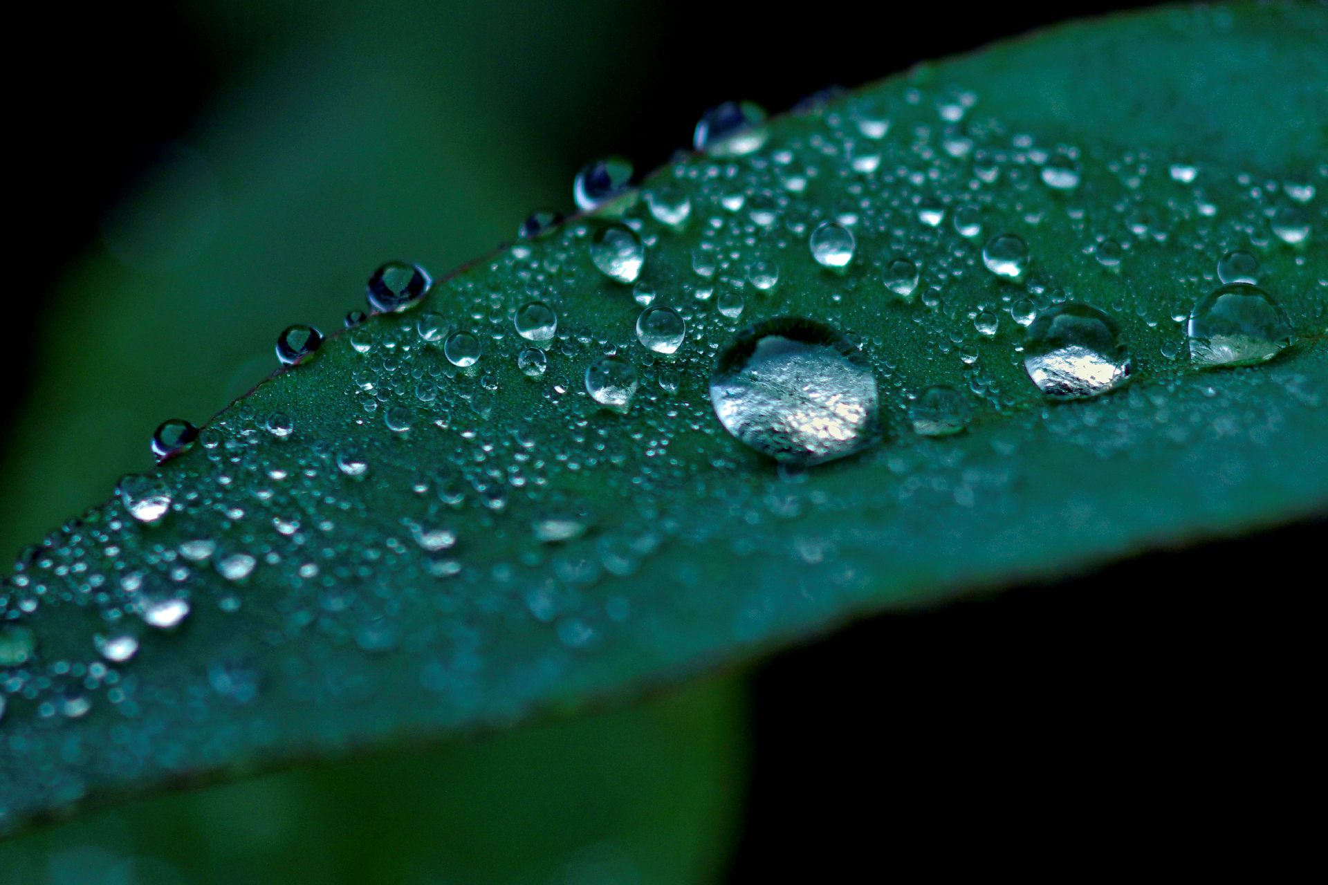 Droplets